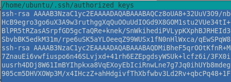 ../../../../_images/authorized_keys.png